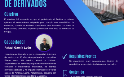 Seminario Contabilidad de Derivados